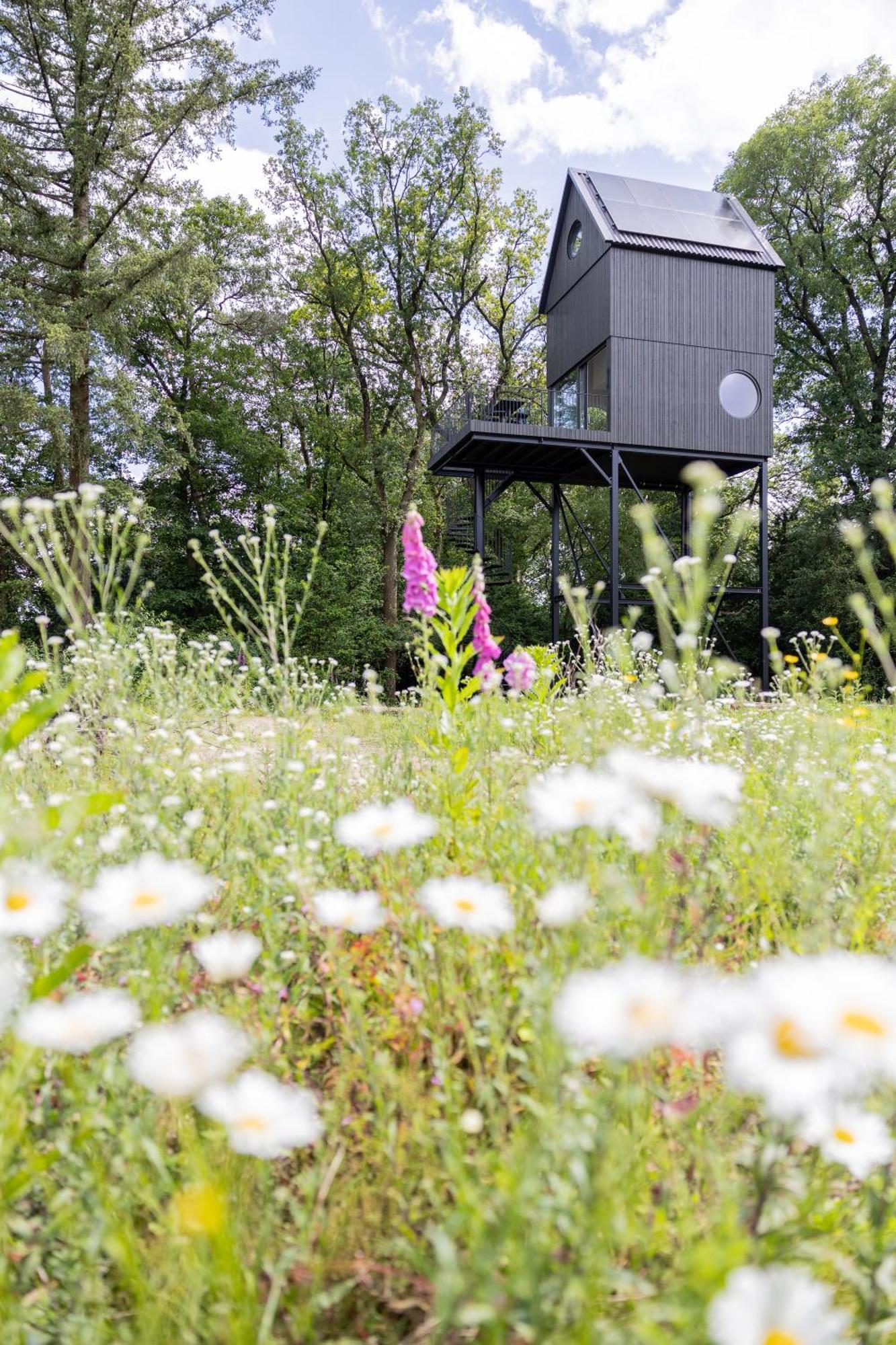 Buitenverblijf Nest Арнем Екстериор снимка